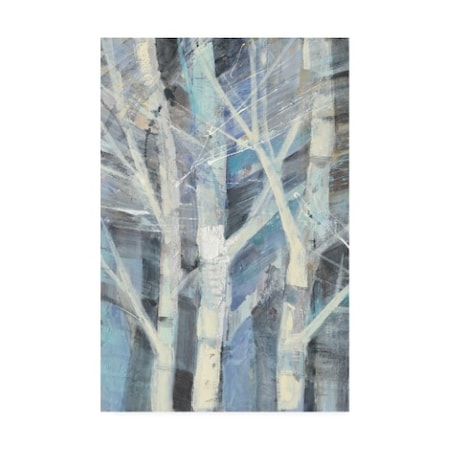 Albena Hristova 'Winter Birches I' Canvas Art,12x19